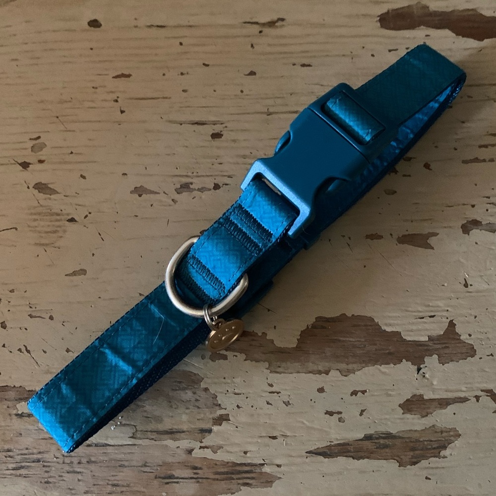 blue clip adjustable dog collar